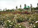 DSCN0270