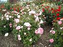 DSCN0272