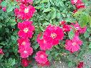 DSCN0275