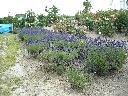 DSCN0276