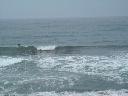 DSCN0287