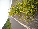 DSCN0298
