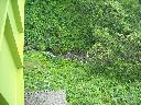 DSCN0349