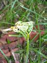 DSCN0402