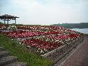 DSCN0423