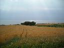 DSCN0428