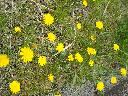 DSCN0438