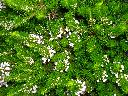 DSCN0448