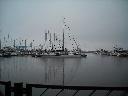 DSCN0454