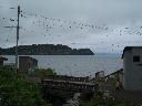 DSCN0474