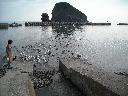 DSCN0493