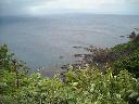 DSCN0509