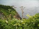 DSCN0511