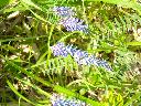DSCN0520