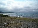 DSCN0524