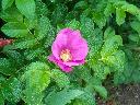 DSCN0554