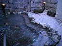 DSCN0589
