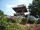 DSCN0598