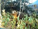 DSCN0601