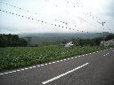 DSCN0641