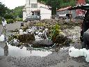 DSCN0646