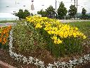 DSCN0650