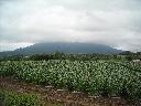 DSCN0653