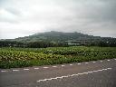 DSCN0654