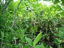 DSCN0656