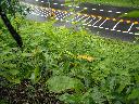 DSCN0657