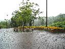 DSCN0659