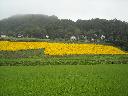 DSCN0665