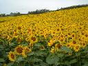 DSCN0669