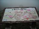 DSCN0737