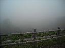 DSCN0738