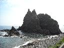 DSCN0752