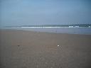 DSCN0769