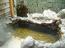 DSCN0780