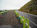 DSCN0799