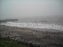 DSCN0801