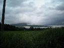 DSCN0815