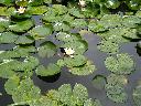 DSCN0824
