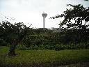 DSCN0850