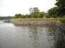 DSCN0852