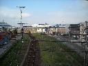 DSCN0917