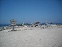 DSCN0956