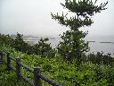 DSCN1017