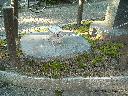 DSCN1043