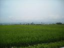 DSCN1055