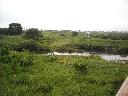 DSCN1056